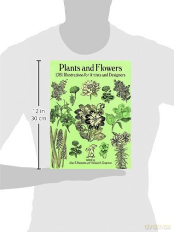 Plants and Flowers: 1761 Illustrations for Artists and Designers: xii (Dover Pictorial Archive) - Bessette;Chapman [KSIĄŻKA]