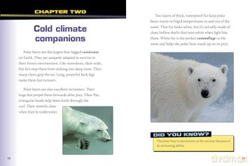 Polar Bears and Arctic Foxes Team Up! (Animal Allies) - Stephanie Tr Peters [KSIĄŻKA]