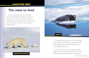 Polar Bears and Arctic Foxes Team Up! (Animal Allies) - Stephanie Tr Peters [KSIĄŻKA]