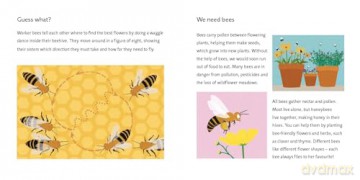 Polly Bee Makes Honey: 2 (Follow My Food) - Deborah Chancellor [KSIĄŻKA]