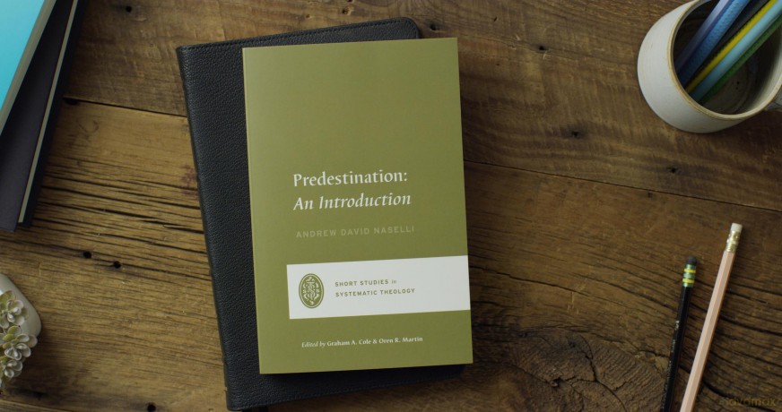 Predestination: An Introduction (Short Studies in Systematic Theology) - Andrew D. Naselli [KSIĄŻKA]