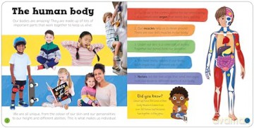Priddy Explorers Human Body (Priddy Explorers, 2) - Roger Priddy [KSIĄŻKA]