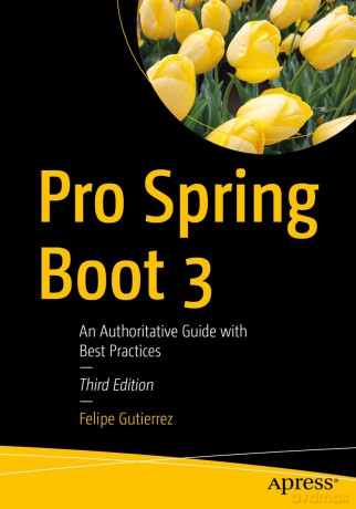Pro Spring Boot 3: An Authoritative Guide with Best Practices - Felipe Gutierrez [KSIĄŻKA]