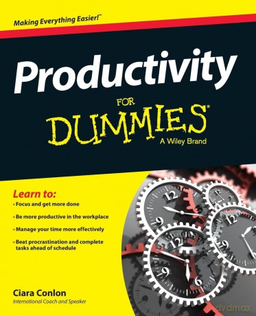 Productivity For Dummies - Ciara Conlon [KSIĄŻKA]