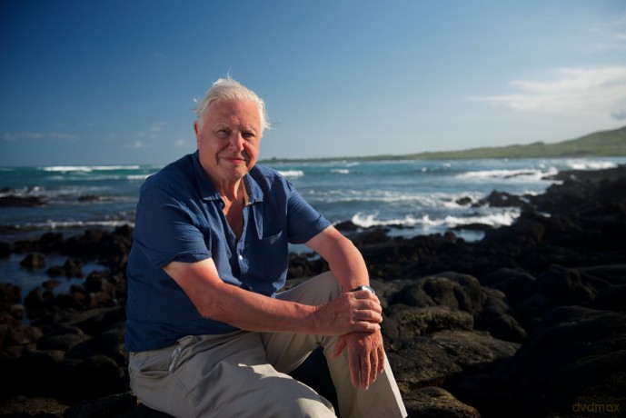 Galapagos 3D with David Attenborough [Blu-Ray 3D]