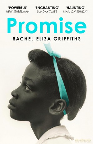 Promise - Rachel E Griffiths [KSIĄŻKA]