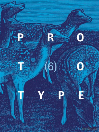 PROTOTYPE 6 (PROTOTYPE anthology) [KSIĄŻKA]