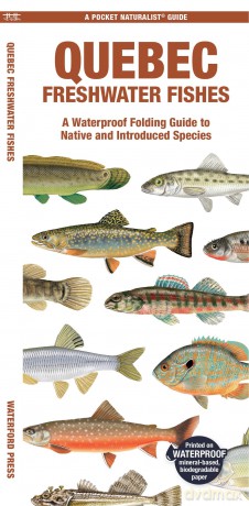 Quebec Freshwater Fishes: A Waterproof Folding Guide to Native and Introduced Species (Pocket Naturalist Guide) - Waterford Press [KSIĄŻKA]