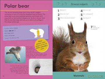 Quiz Yourself Clever! Animals of the World (DK Quiz Yourself Clever) - Dk [KSIĄŻKA]