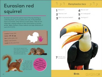 Quiz Yourself Clever! Animals of the World (DK Quiz Yourself Clever) - Dk [KSIĄŻKA]