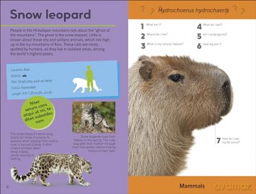 Quiz Yourself Clever! Animals of the World (DK Quiz Yourself Clever) - Dk [KSIĄŻKA]