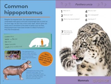 Quiz Yourself Clever! Animals of the World (DK Quiz Yourself Clever) - Dk [KSIĄŻKA]