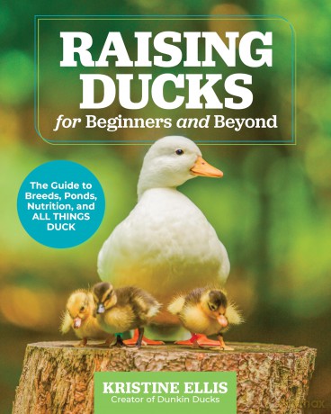 Raising Ducks for Beginners and Beyond: The Guide to Breeds, Ponds, Nutrition, and All Things Duck - Kristine Ellis [KSIĄŻKA]