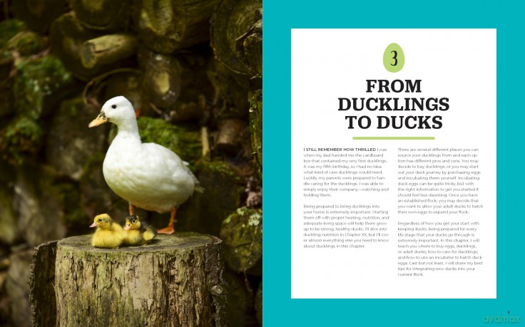Raising Ducks for Beginners and Beyond: The Guide to Breeds, Ponds, Nutrition, and All Things Duck - Kristine Ellis [KSIĄŻKA]