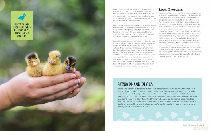 Raising Ducks for Beginners and Beyond: The Guide to Breeds, Ponds, Nutrition, and All Things Duck - Kristine Ellis [KSIĄŻKA]