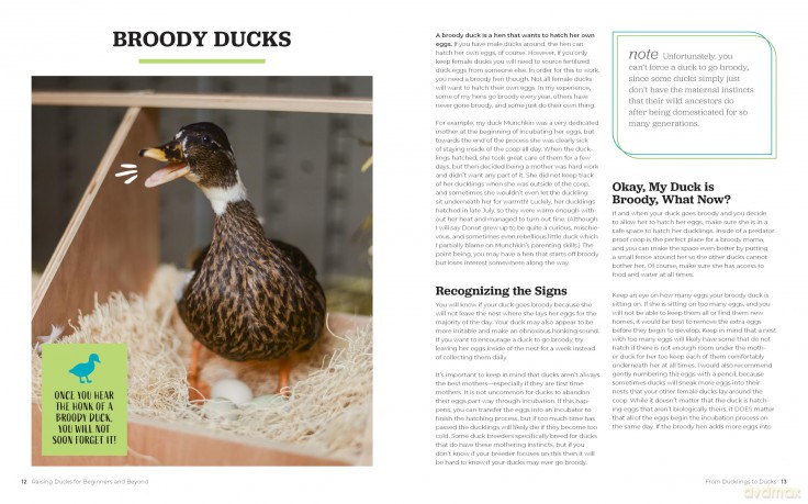 Raising Ducks for Beginners and Beyond: The Guide to Breeds, Ponds, Nutrition, and All Things Duck - Kristine Ellis [KSIĄŻKA]