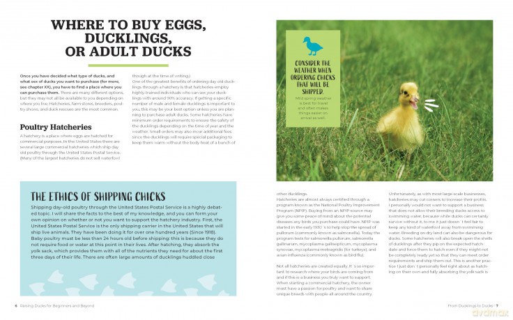 Raising Ducks for Beginners and Beyond: The Guide to Breeds, Ponds, Nutrition, and All Things Duck - Kristine Ellis [KSIĄŻKA]