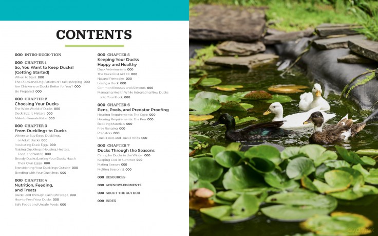 Raising Ducks for Beginners and Beyond: The Guide to Breeds, Ponds, Nutrition, and All Things Duck - Kristine Ellis [KSIĄŻKA]