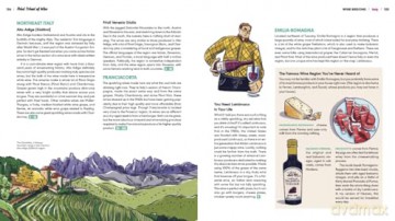 Rebel School Of Wine: A Visual Guide to Drinking with Confidence - Balliet Tyler [KSIĄŻKA]