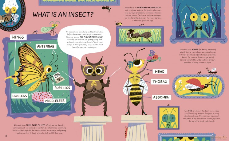 Respect the Insect - Jules Howard [KSIĄŻKA]