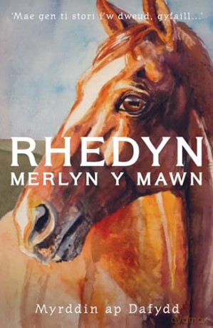Rhedyn, Merlyn y Mawn a'r Glo - Myrddin Ap Dafydd [KSIĄŻKA]