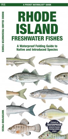 Rhode Island Freshwater Fishes: A Waterproof Folding Guide to Native and Introduced Species (Pocket Naturalist Guides) - Waterford Press [KSIĄŻKA]