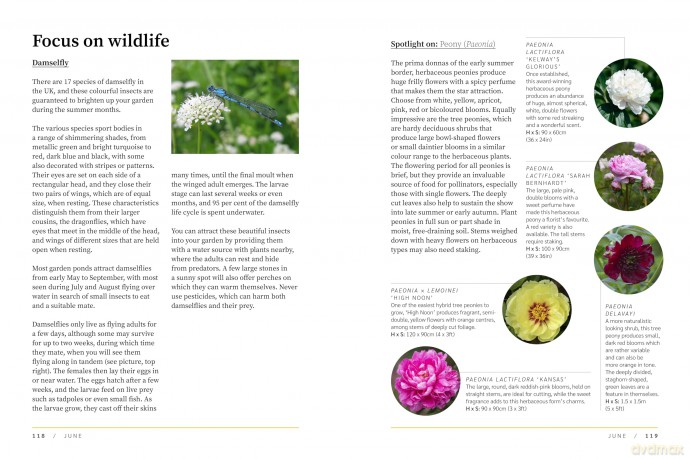 RHS The Garden Almanac 2025: The month-by-month guide to your best ever gardening year (RHS Garden Almanac) - Zia Allaway [KSIĄŻKA]