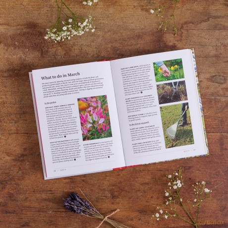 RHS The Garden Almanac 2025: The month-by-month guide to your best ever gardening year (RHS Garden Almanac) - Zia Allaway [KSIĄŻKA]