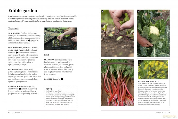 RHS The Garden Almanac 2025: The month-by-month guide to your best ever gardening year (RHS Garden Almanac) - Zia Allaway [KSIĄŻKA]