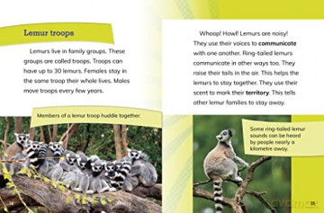 Ring-Tailed Lemur Princesses: Rulers of the Troop (Queens of the Animal World) - Jaclyn Jaycox [KSIĄŻKA]