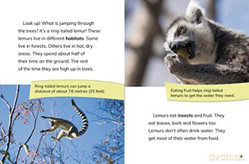Ring-Tailed Lemur Princesses: Rulers of the Troop (Queens of the Animal World) - Jaclyn Jaycox [KSIĄŻKA]