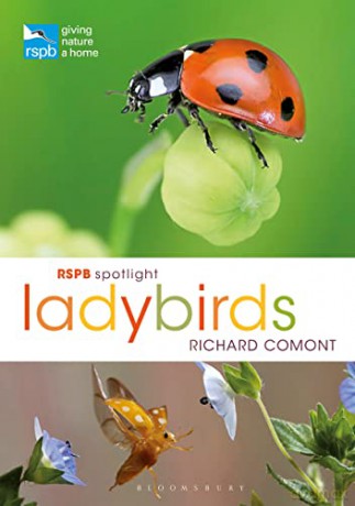 RSPB Spotlight Ladybirds - Richard Comont [KSIĄŻKA]