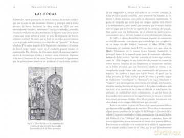 Runas nórdicas: Interpretación del antiguo oráculo vikingo - Paul Rhys Mountfort [KSIĄŻKA]