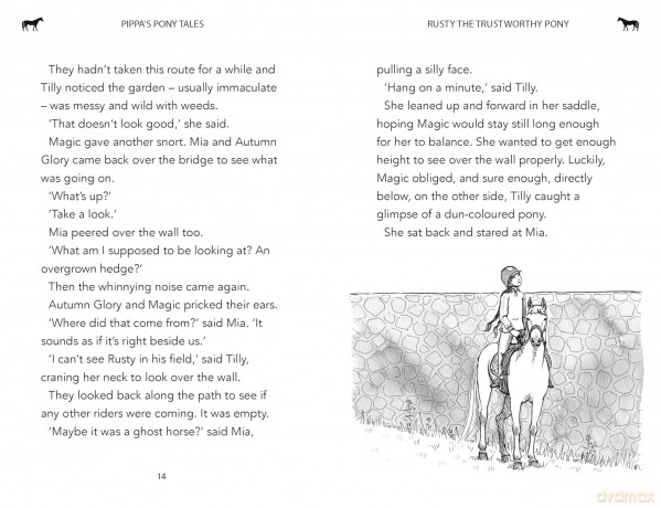 Rusty the Trustworthy Pony (Pippa's Pony Tales) - Pippa Funnell [KSIĄŻKA]