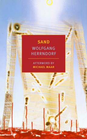 Sand: Wolfgang Herrndorf (New York Review Books Classics) - Wolfgang Herrndorf [KSIĄŻKA]