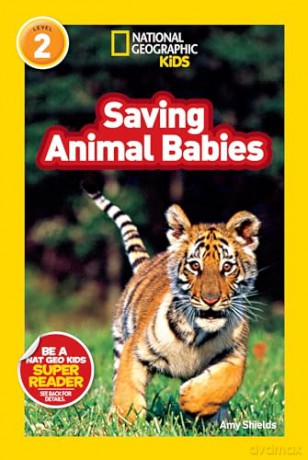 Saving Animal Babies (Level 2) (National Geographic Kids Readers: Level 2) - Shields Amy [KSIĄŻKA]