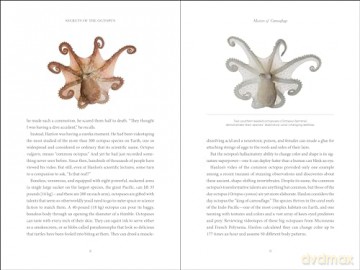 Secrets of the Octopus - Sy Montgomery [KSIĄŻKA]