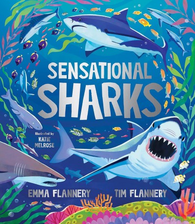 Sensational Sharks - Tim Flannery [KSIĄŻKA]