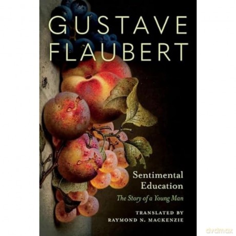 Sentimental Education: The Story of a Young Man - Gustave Flaubert [KSIĄŻKA]