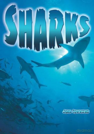 Sharks (Wow! Facts (B)) [KSIĄŻKA]