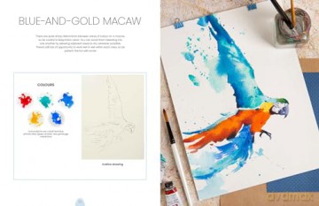 Simply Paint Birds: A complete watercolour course for beginners - Tom Shepherd [KSIĄŻKA]