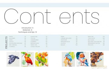 Simply Paint Birds: A complete watercolour course for beginners - Tom Shepherd [KSIĄŻKA]
