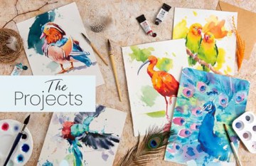 Simply Paint Birds: A complete watercolour course for beginners - Tom Shepherd [KSIĄŻKA]