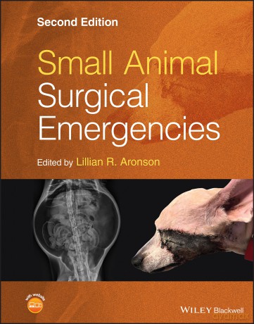 Small Animal Surgical Emergencies [KSIĄŻKA]
