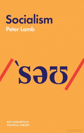 Socialism (Key Concepts in Political Theory) - Peter Lamb [KSIĄŻKA]