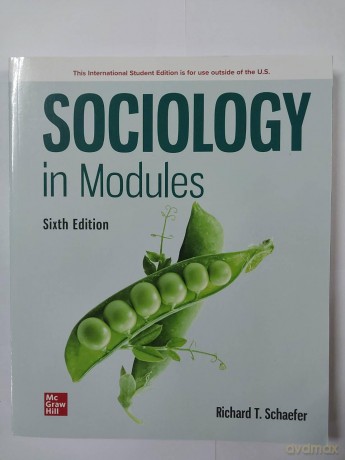 Sociology in Modules ISE [KSIĄŻKA]
