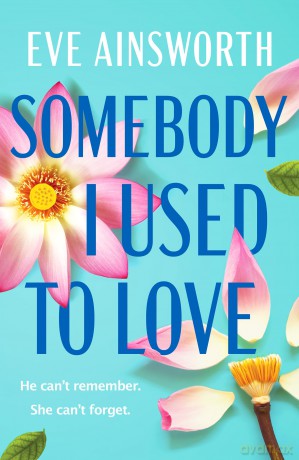 Somebody I Used to Love: The most emotional, unforgettable love story - Eve Ainsworth [KSIĄŻKA]