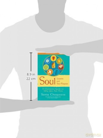 Soul Lessons and Soul Purpose: A Channeled Guide to Why You Are Here: A Channelled Guide To Why You Are Here - Sonia Choquette [KSIĄŻKA]