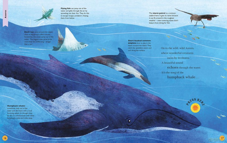 Sounds of the Wild: Discover incredible island animals - Butterfield Moira [KSIĄŻKA]