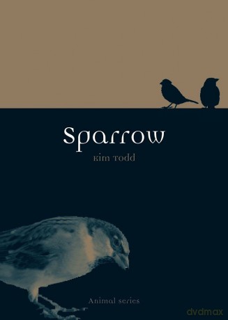 Sparrow (Animal Series) - Kim Todd [KSIĄŻKA]